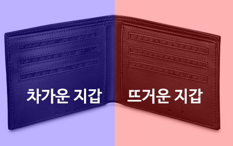 콜드월렛과 핫월렛 차이점과 특징? 하드월렛은 또 뭐냐?
