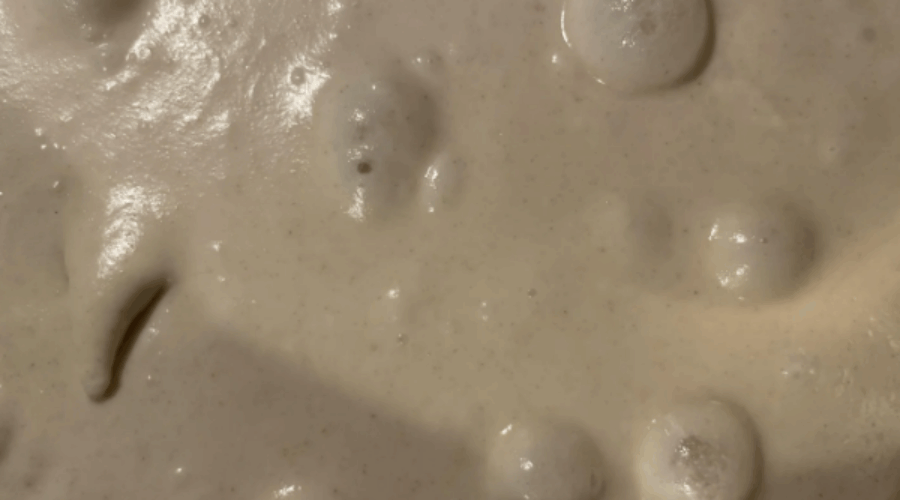 과발효란? 과발효 반죽 확인 방법은? 맛과 식감은?