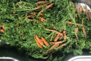 당근 잎 먹어도 될까? 당근 잎 요리와 효능은? 🥕🥕🥕