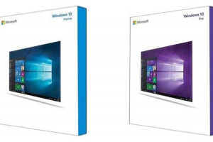 윈도우 11 FPP와 DSP란? ESD, OEM 등 윈도우 종류는?