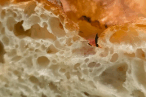 수분율 100% 맛과 식감은? 수분율에 따른 변화, 수화율이란?