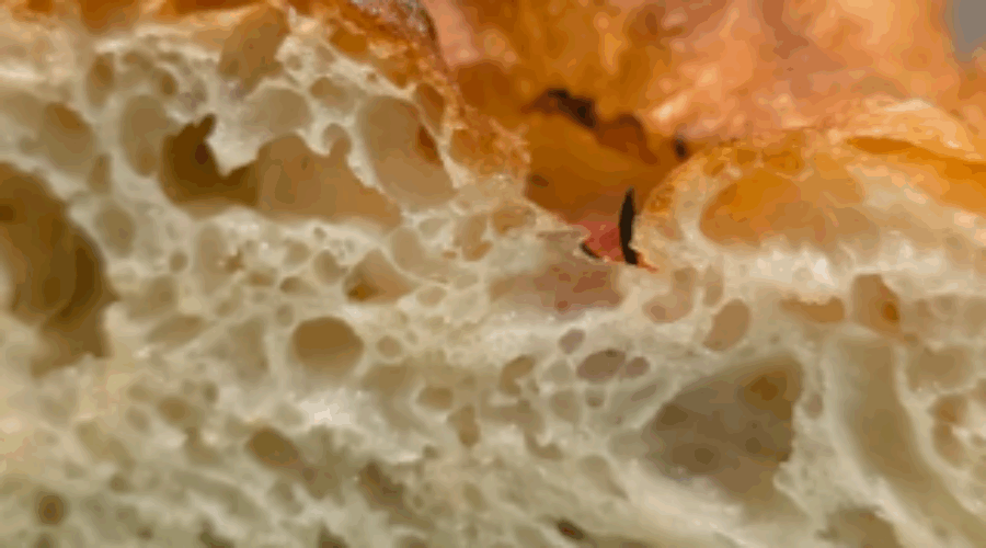 수분율 100% 맛과 식감은? 수분율에 따른 변화, 수화율이란?