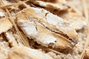 통밀과 호밀은 왜 글루텐이 어려운 이유와 제빵하는 방법